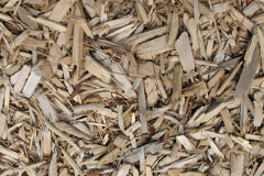 biomass boilers Kyrewood